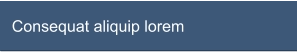 Consequat aliquip lorem