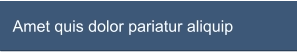 Amet quis dolor pariatur aliquip