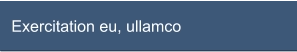 Exercitation eu, ullamco
