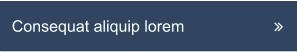 Consequat aliquip lorem