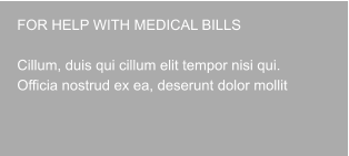FOR HELP WITH MEDICAL BILLS  Cillum, duis qui cillum elit tempor nisi qui. Officia nostrud ex ea, deserunt dolor mollit